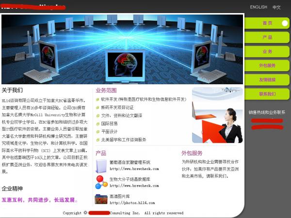 咨询公司网站