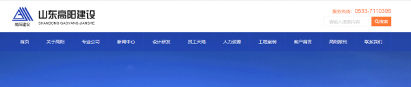 企业网站