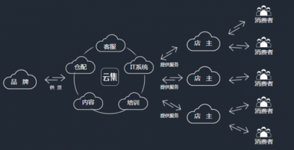 saas电商数分系统