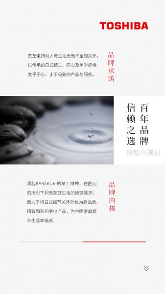 企业官方网站