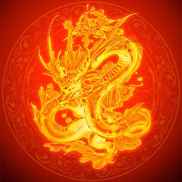 龙行天下工作室