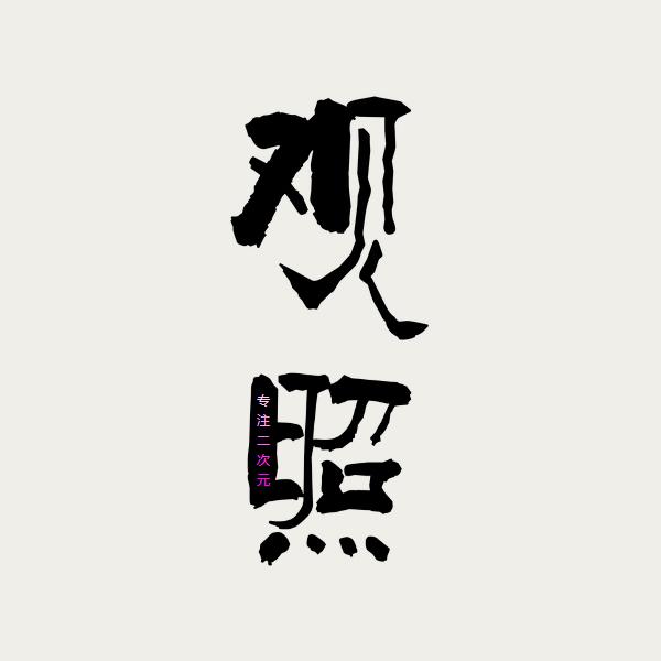 成都观照科技公司